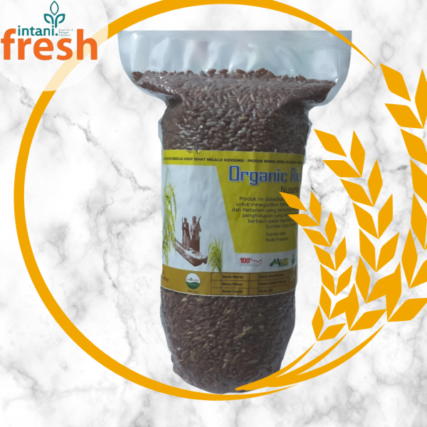 Beras Coklat ( Organik ) 1kg